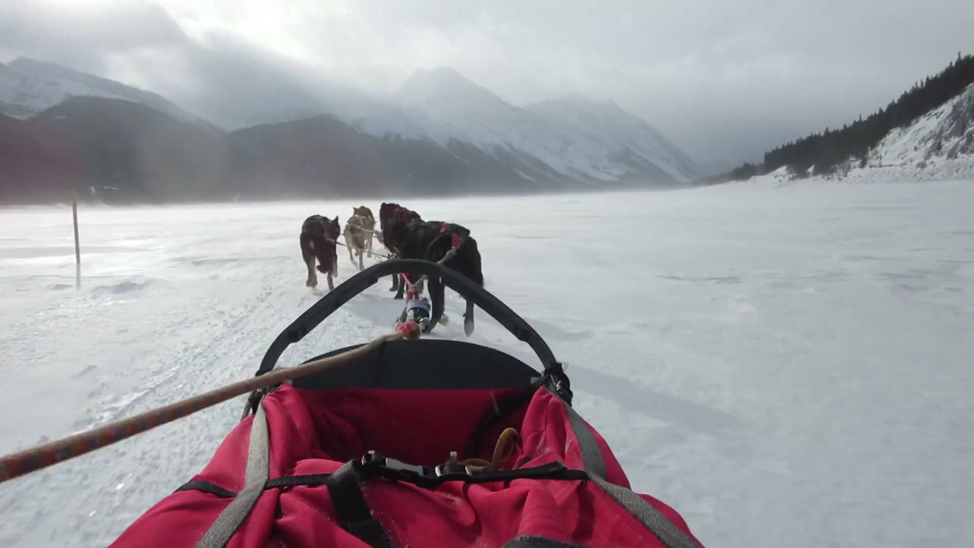 A dog team pulling a sled across a frozen lake beneath mountains
