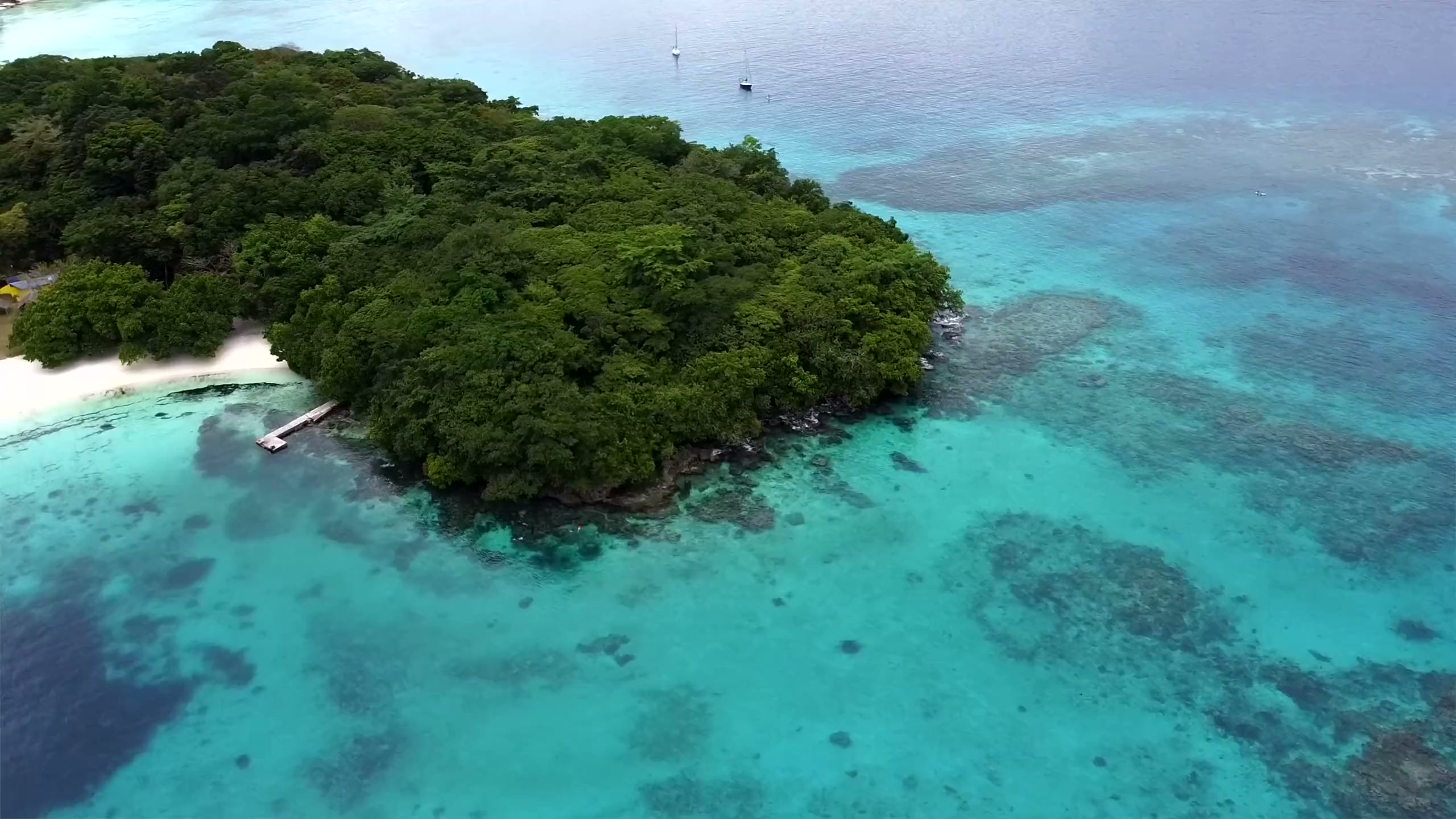 A forested island ringed by turquoise reef, seen from the air