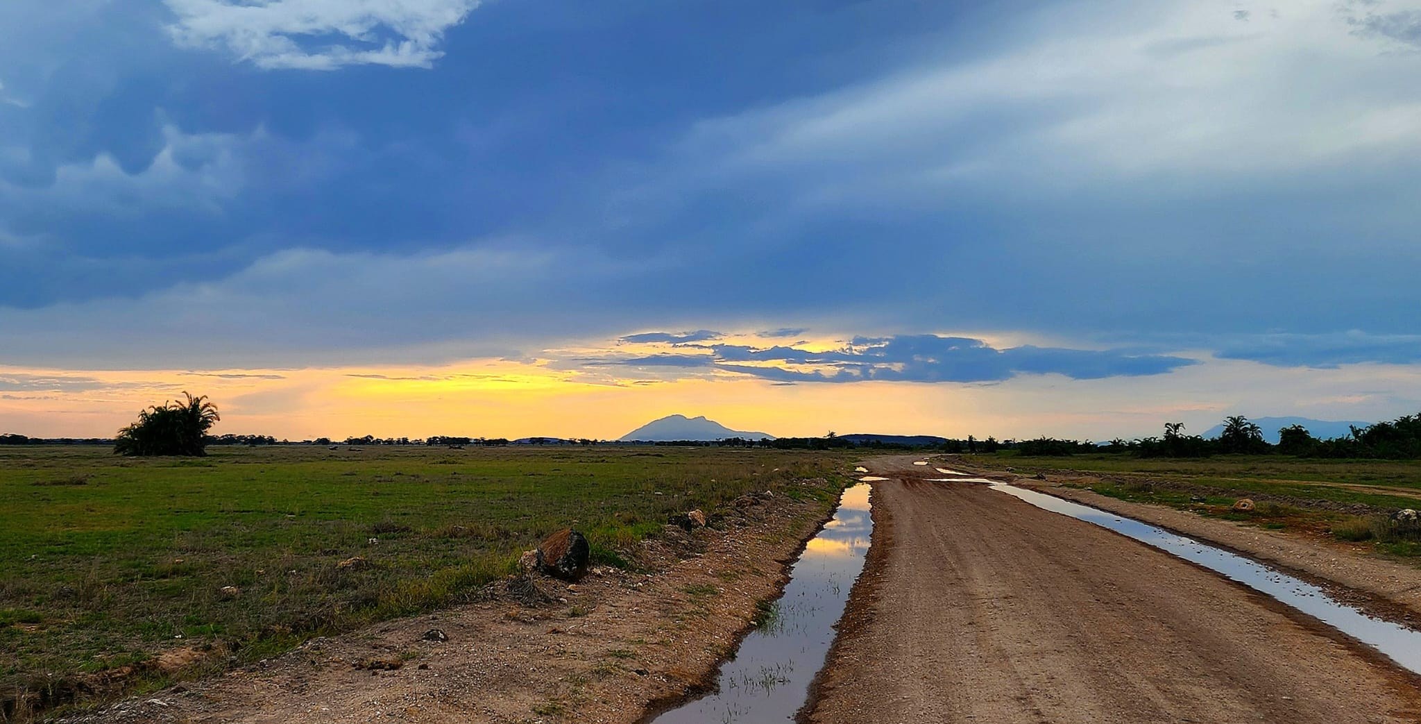 Storm light over the savannah