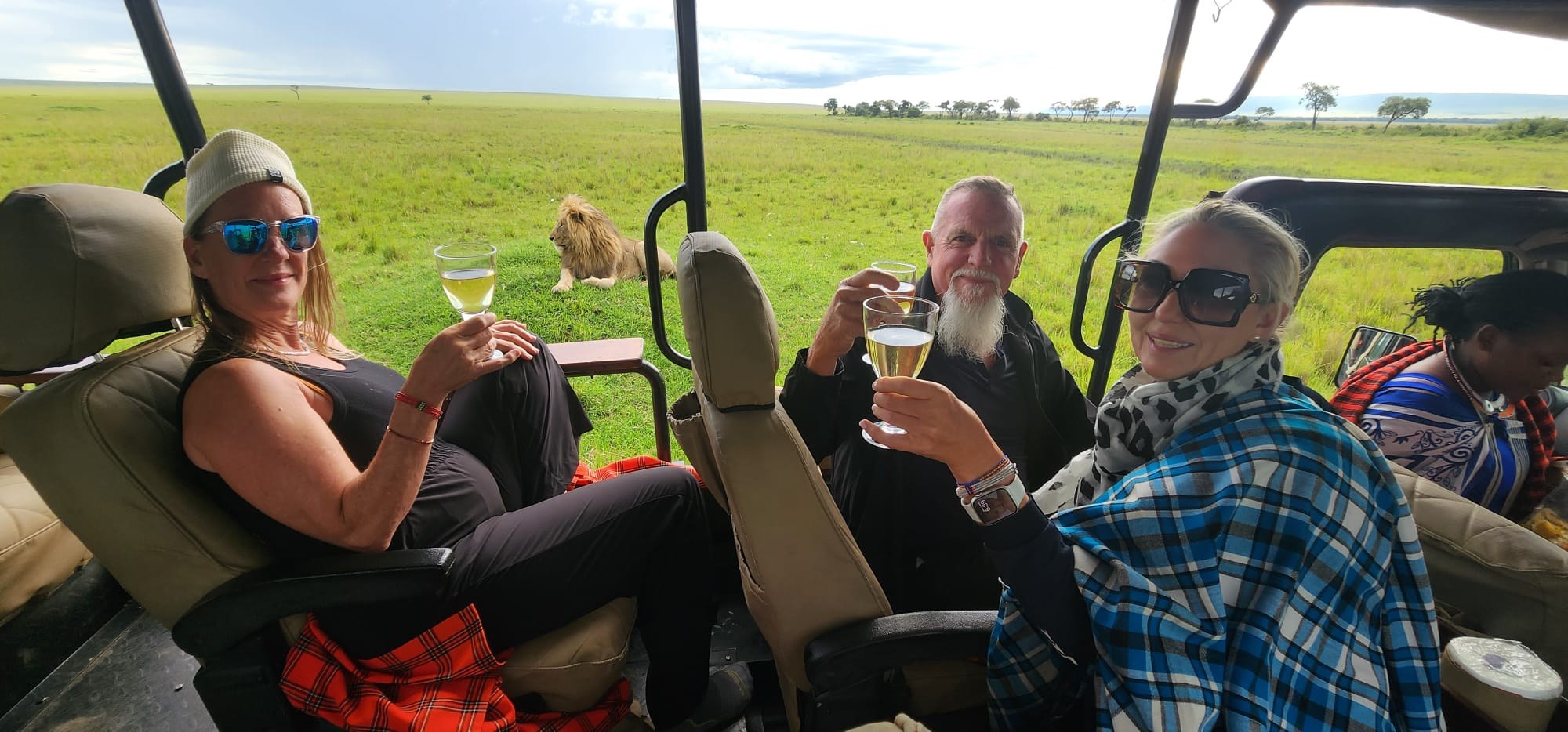 Guests raising a glass in an open vehicle while a lion rests in the grass behind them